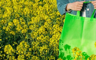 4 tipos de sacolas personalizadas!